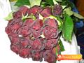 black-baccara