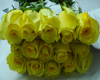 Yellow Roses